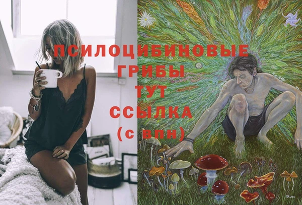 прущие крисы Аркадак