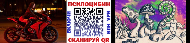 Псилоцибиновые грибы MAGIC MUSHROOMS  Курчалой 